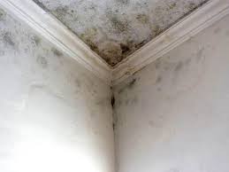 Best Mold Removal for HVAC Installations  in Ke Charles, LA