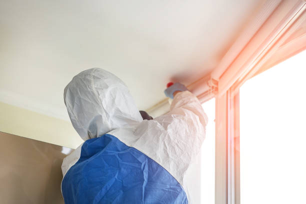 Professional Mold Inspection in Lake Charles, LA