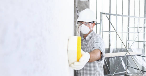 Best Mold Damage Restoration  in Ke Charles, LA