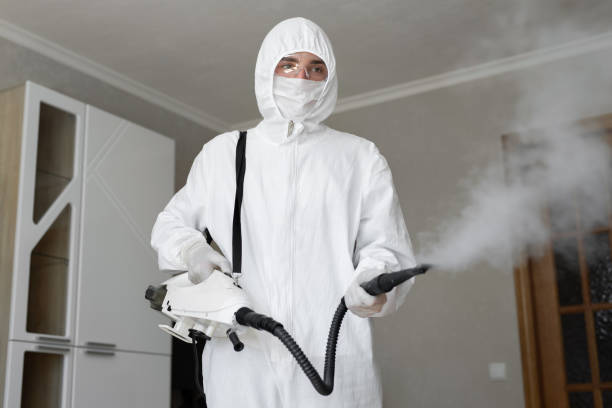 Best Residential Mold Inspection & Testing  in Ke Charles, LA